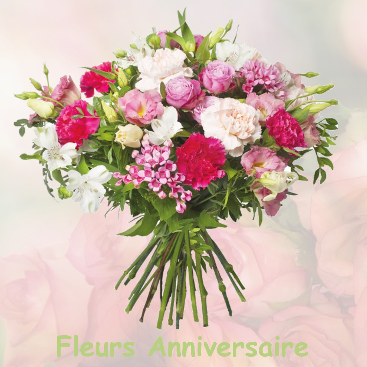 fleurs anniversaire MORLEY