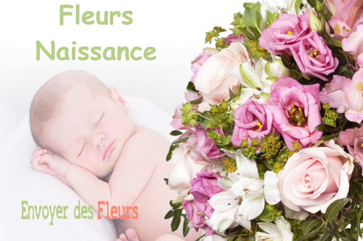 lIVRAISON FLEURS NAISSANCE à MORLEY